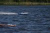 Sneek_2009_064.jpg