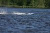 Sneek_2009_068.jpg
