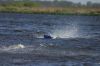Sneek_2009_069.jpg