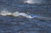 Sneek_2009_072.jpg