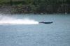 Filename=Edderitz_2009_154.jpg
Filesize=69KB
Dimensions=800x533
Date added=Jul 14, 2009 Edderitz_2009_154.jpg
